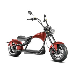 Mangosteen M1P Zwart